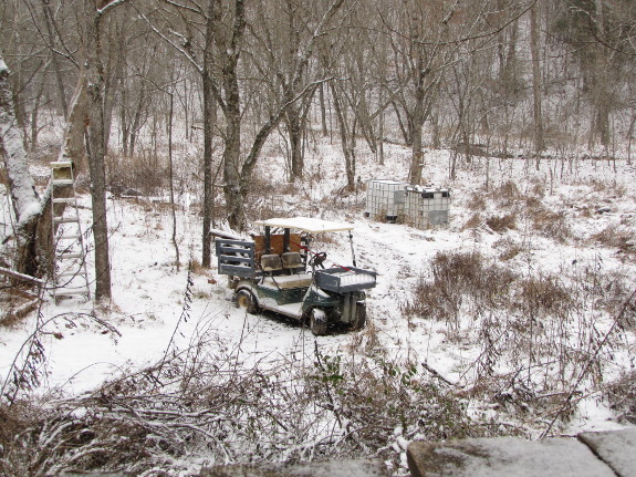 Golf cart in the snow