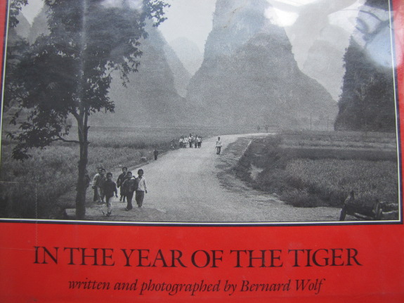 In the Year of the Tiger