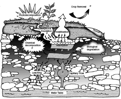 Soil leaching