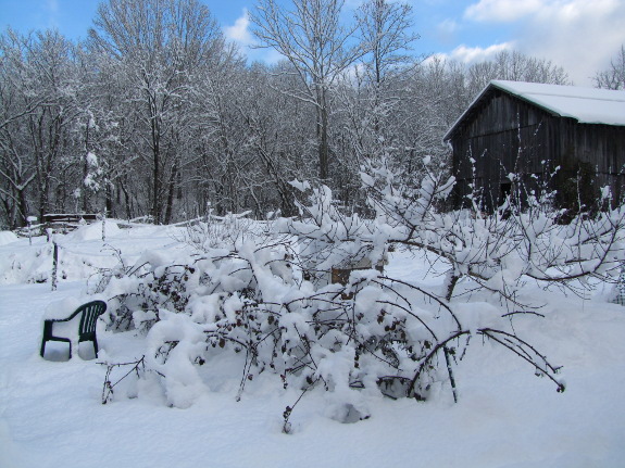 Blue sky and snow