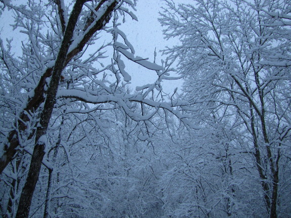 Evening snow