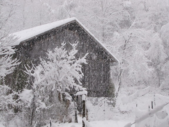 Snow on barn