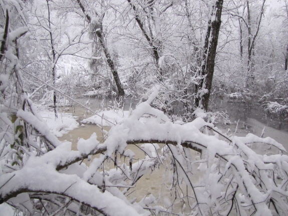 Snowy flood