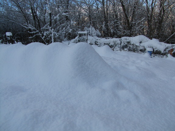 Snowy quick hoop