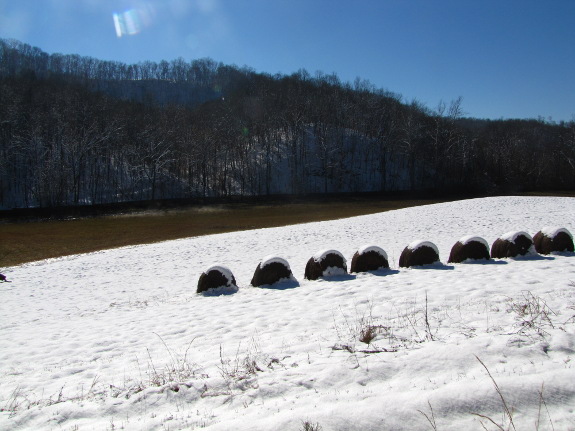 Flood line in the snow