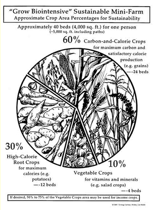 Grow Biointensive crop areas