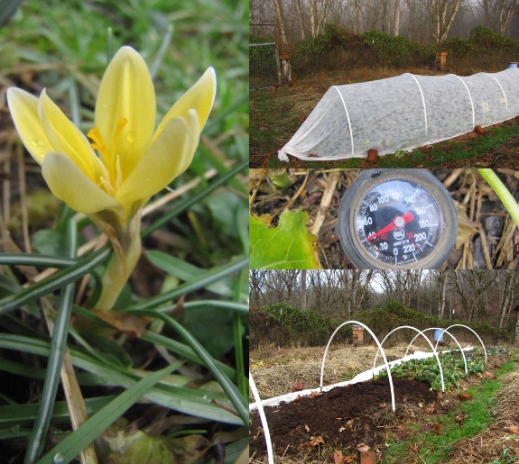 Spring planting