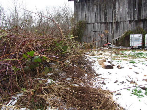 Brush pile