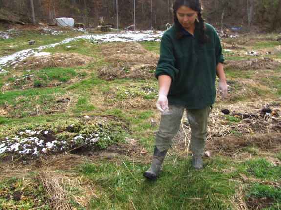 Spreading garden minerals