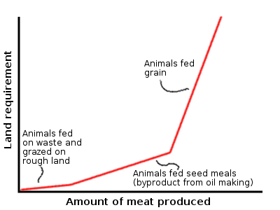 Efficiency of animals