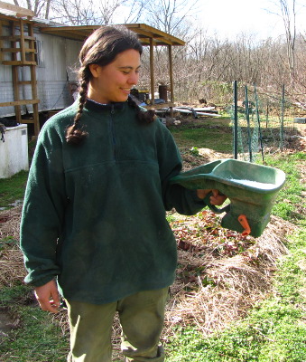 Seed spreader