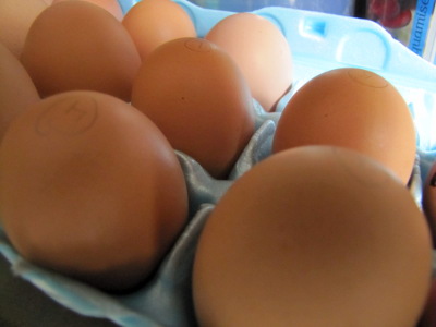 Eggs for the incubator
