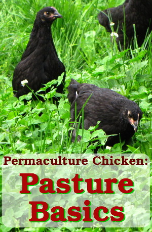 Chicken pasturing ebook
