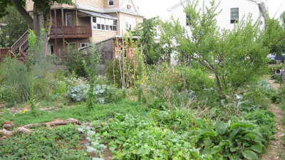 Forest garden