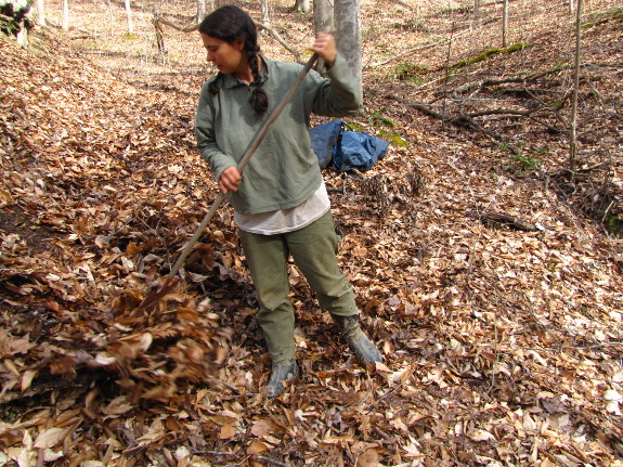 Raking leaves