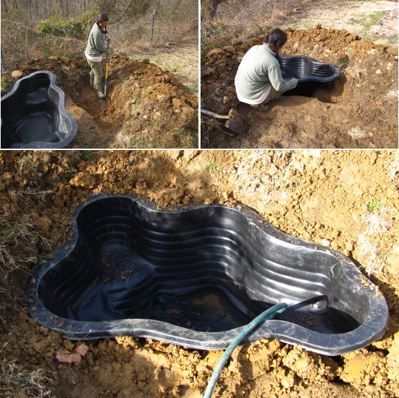 Pond installation