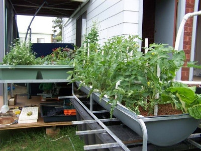 Australian aquaponics