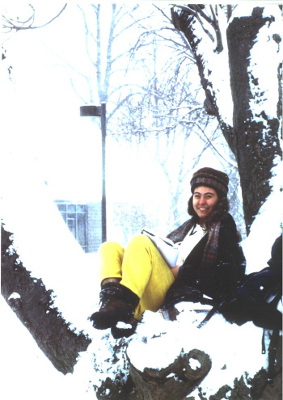 In a snowy tree