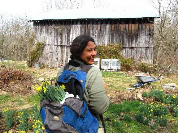 Backpack of daffodils