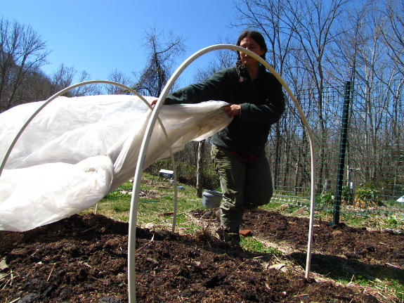 Erecting quick hoops