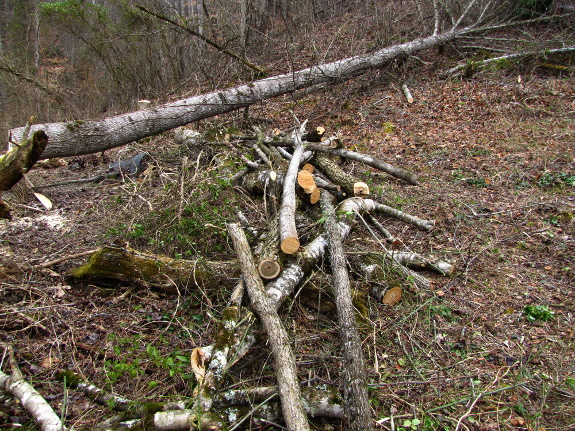 Log pile