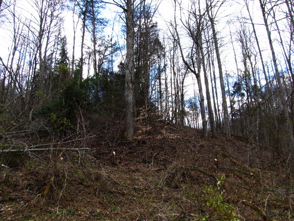 Looking up the hill