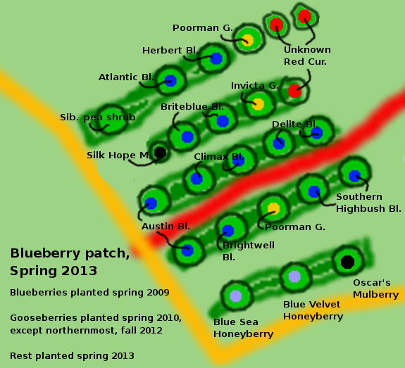 Berry patch map