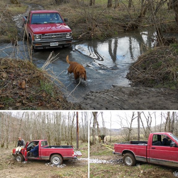 Lucy helping on truck creek crossing day