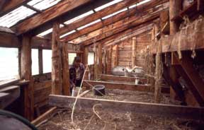 Earth-sheltered greenhouse