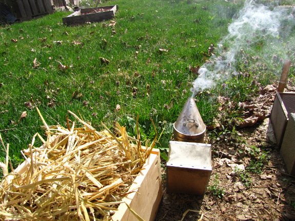 Spring hive check