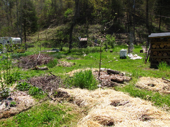 Forest garden