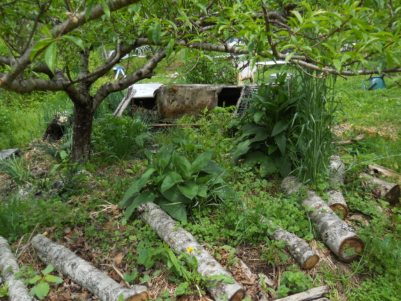 Mushroom logs