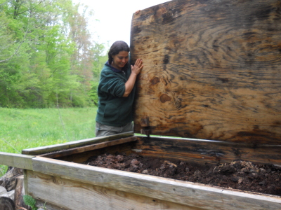 Established worm bin