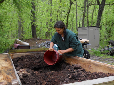 Harvesting worm castings