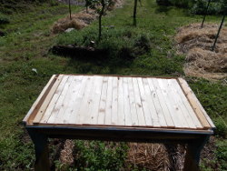 Top bar hive expanded so bees can make use of the full space