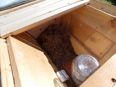 Inside unused top-bar hive