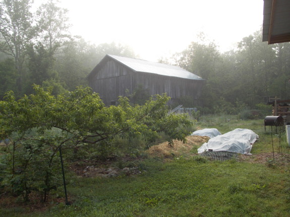 Farm fog