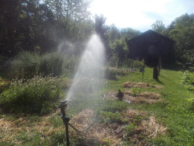 Sprinkler and barn