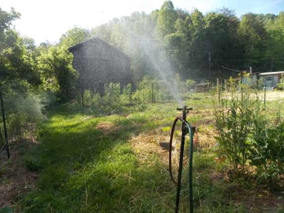 Watering the garden