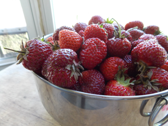 Bowl of strawberries