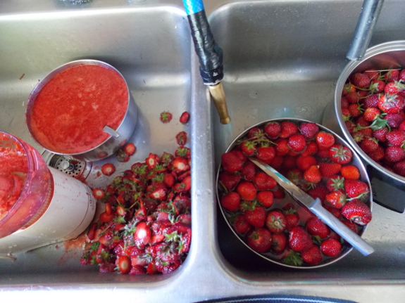 Processing
strawberries