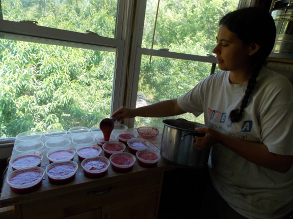 Strawberry freezer
jam