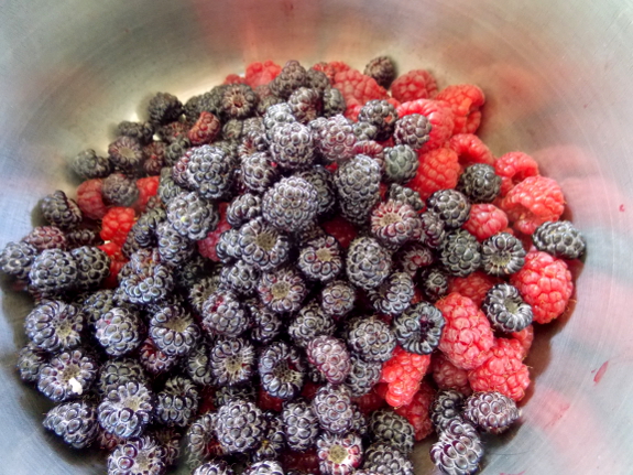 Bowl of berries