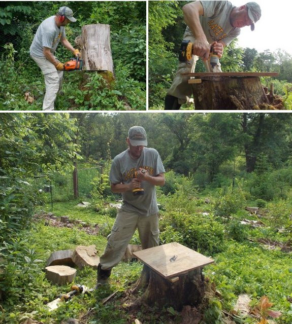 using an old tree stump to support a bee hive box