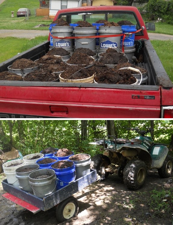 using a modified Haul Master lawn trailer to haul 5 gallon buckets of horse manure