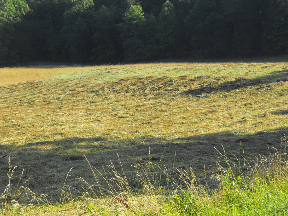 Drying hay