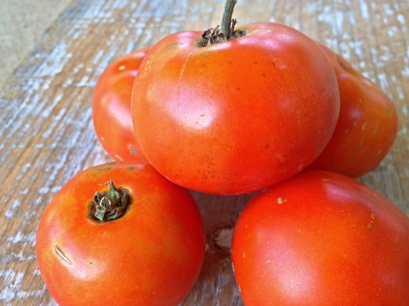 Early tomatoes