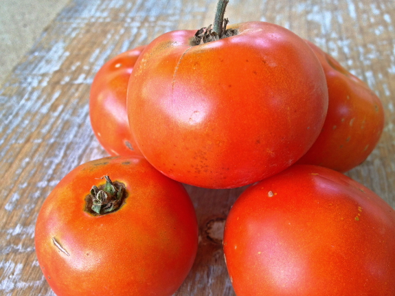 Fighting tomato blight with pennies?