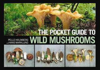 Pocket Guide to Wild
Mushrooms