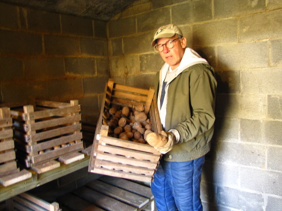 Cave root cellar